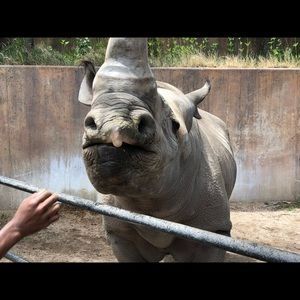 Meet your Posher, Wes